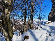 37 Faggi secolari e pareti verticali